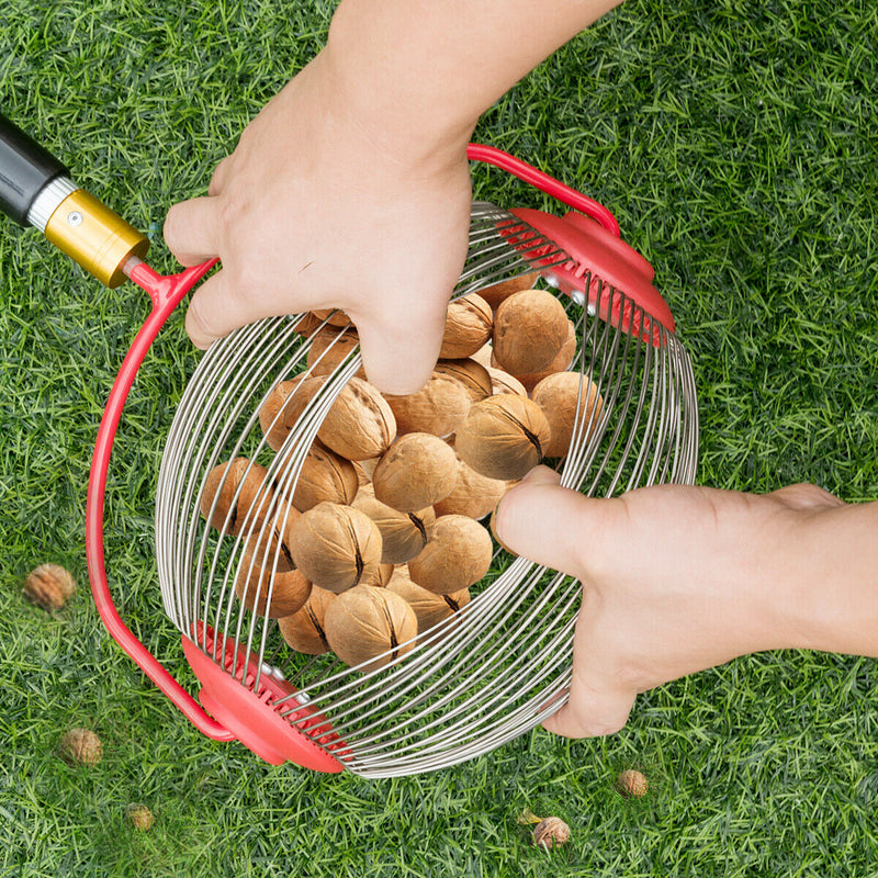 Medium Rolling Nut Gatherer Picks up Balls Nuts and Other Objects