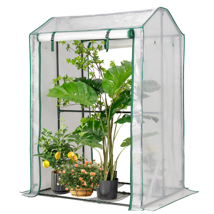 Walk-in Garden Greenhouse Warm House for Plant Growing