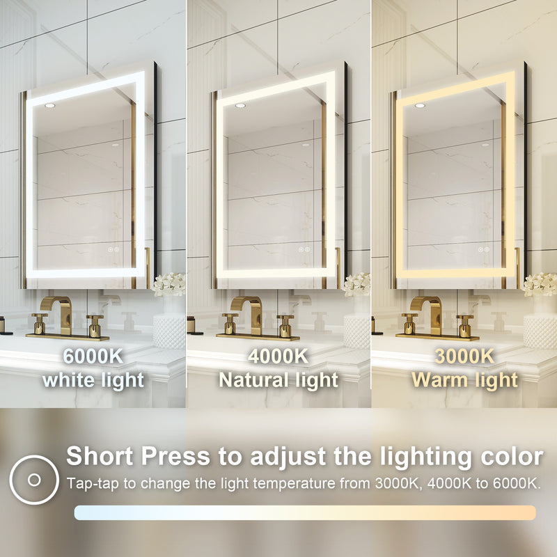 20 in. W x 28 in. H Frameless Rectangular LED Light Bathroom Mirror