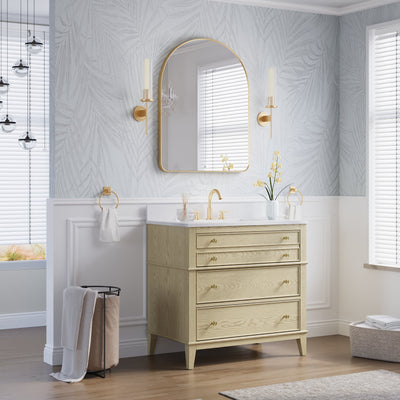 28 in. W x 36 in. H Arched Aluminum Framed Wall Bathroom Vanity Mirror in Brushed Gold