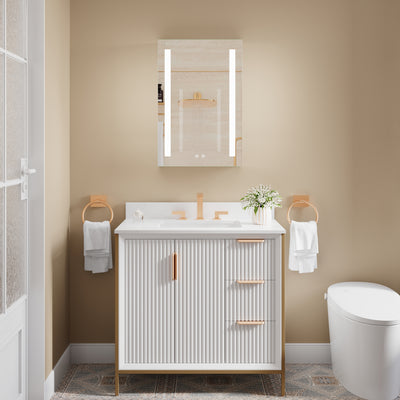 20-in x 30-in Lighted LED Surface/Recessed Mount Mirrored Rectangle Medicine Cabinet with Outlet left Side