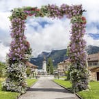82'' x 20.5'' Metal Garden Arch for Various Climbing Plant