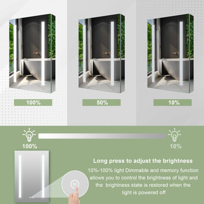 20-in x 30-in Lighted LED Surface/Recessed Mount Mirrored Rectangle Medicine Cabinet with Outlet Right Side